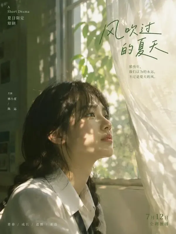短剧《十七岁的风》封面 - 夏日物语 - 短剧大全免费